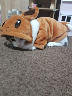 a cat laying on the floor wearing a stuffed animal costume