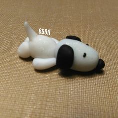 a small white and black dog laying on the ground