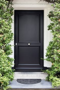 a black front door surrounded by greenery