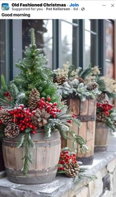 some potted plants and pine cones on a window sill in front of a building