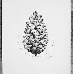 a black and white drawing of a pine cone