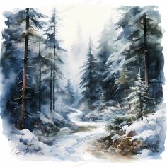 a watercolor painting of a snowy forest scene with pine trees and rocks in the foreground