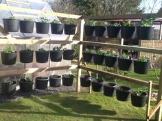 many pots are hanging on the side of a wooden rack with plants growing in them