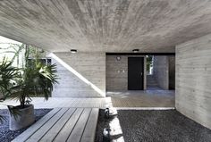 the interior of a modern house with wood flooring and large plants in front of it