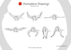 the animation drawing process shows how to draw birds