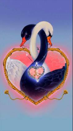 two swans in the shape of a heart on a blue and pink background with gold border