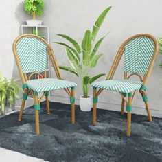 two chairs sitting next to each other in front of a potted plant