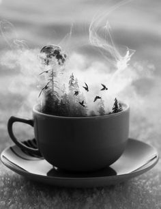 Teacup Magic Art Charcoal Drawings, Surrealism Photography, Foto Art, 판타지 아트, Jolie Photo, Amazing Photos, Double Exposure