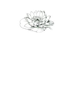 a black and white drawing of a flower