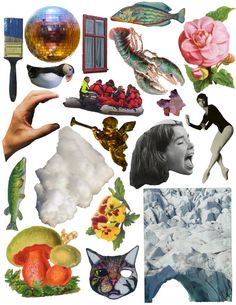 a collage of various images with people and animals in them, including flowers, fish, icebergs, cat, man