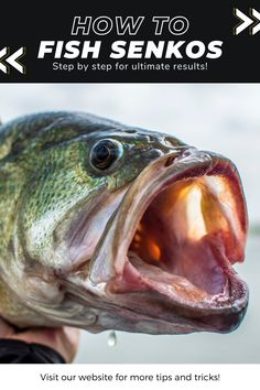 a fish with its mouth open and the words how to fish seikos on it