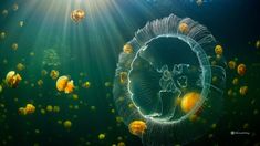 an underwater scene with jellyfish and sunbeams