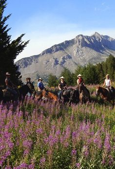 a group of people riding on the backs of horses in a field with purple flowers