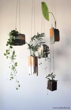 hanging planters with plants in them on the wall