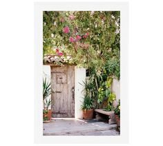 an old wooden door surrounded by potted plants