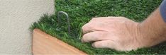 a man is trimming the grass in his yard