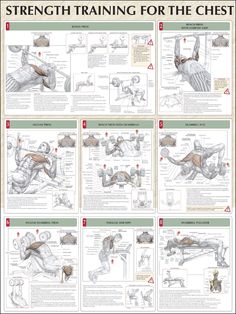 a poster with instructions on how to use the chest and arm muscles for strength training