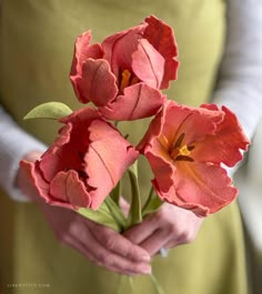 a woman holding three pink flowers in her hands