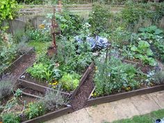 a garden filled with lots of different types of vegetables and plants in it's beds