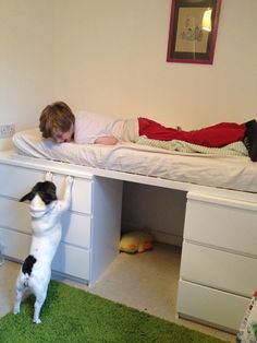 a young boy laying on top of a bed next to a white desk with a black and white dog