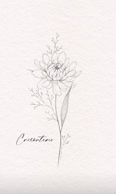 a drawing of a flower with the word creasanta written in black ink