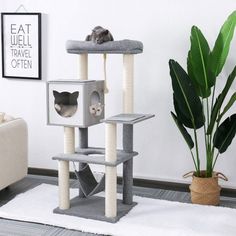 Contemporary Cat Tree Tower for Big Cats with Hammock Kitten Furniture