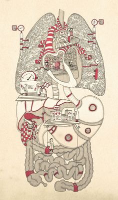 a drawing of the human body with many different things on it's side, including an organ