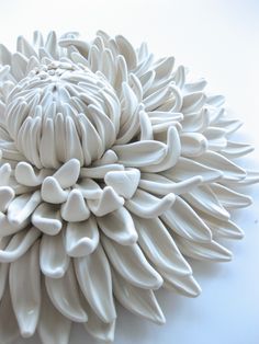 a large white flower sitting on top of a table