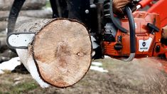 a chainsaw is being used to cut down trees