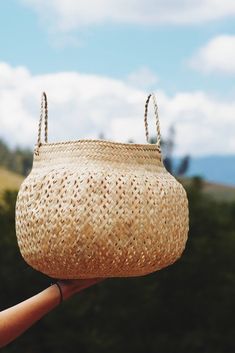 a person holding a basket in their hand with the sky and trees in the background