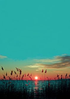 the sun is setting over some water with reeds in foreground and blue sky