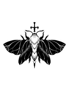 a black and white drawing of a moth with cross on it's back end