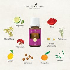 Essential Oil Usage, Yl Oils, Yl Essential Oils, Oil Diffuser Recipes, Essential Oil Blends Recipes, Living Essentials Oils, Diffuser Recipes