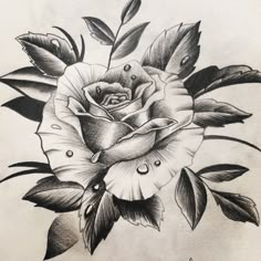 a drawing of a rose with leaves and water droplets on it's petals, in black and white