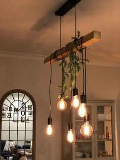 a bunch of lights hanging from the ceiling in a room with some plants on it