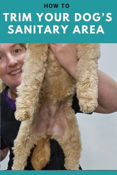 a woman holding up a dog's head with the caption how to trim your dog's sanitary area