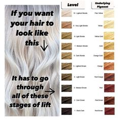 Blonde Highlight Colors Chart, Cool Level 8 Blonde, Levels Of Bleaching Hair, Blonde Highlights On Level 6, Hair Color Levels 1-10 Chart Undertones, Levels Of Brown Hair Chart, Level 8 Cool Blonde Hair, 10 Levels Of Hair Color, Level 7 Hair Color Cool Tone