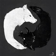 two black and white animals are in the shape of a yin - yang symbol on a dark background