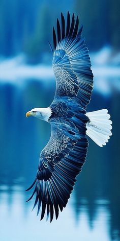 an eagle is flying over the water with its wings spread