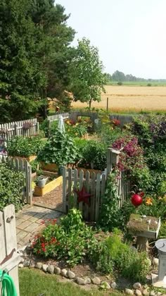 a garden with lots of different types of flowers and plants in the middle of it