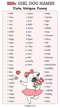 a pink poster with the words 30 girl dog names cut - unique, funny and fun