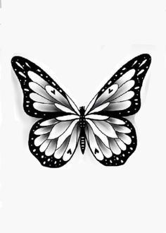 a black and white butterfly on a white background