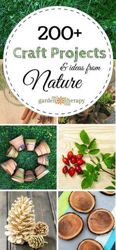 various pictures with the words, 200 + craft projects and ideas from nature