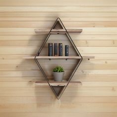 a shelf with some books on it and a potted plant next to it in front of a wooden wall