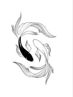 Black And White Fish Tattoo, Beta Fish Tattoo Jjk, Kai Fish Tattoo, Black And White Koi Fish Tattoo, Koy Fish Tattoo Ideas, Koi Black And White, Koi Fish Drawing Simple, Koi Fish Stencil, Koi Fish Outline