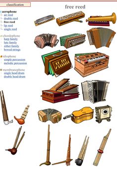 an image of different types of musical instruments