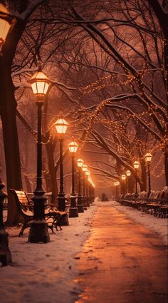 a snowy sidewalk with benches and street lamps on it's sides in the evening