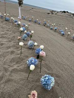 blue and white flowers are placed in the sand