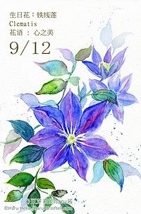 a watercolor painting of purple flowers with green leaves on the bottom and white background