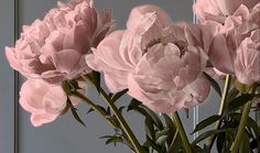 some pink flowers are in a glass vase